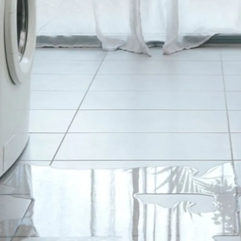 Appliance Leak Cleanup in Oak Ridge, FL
