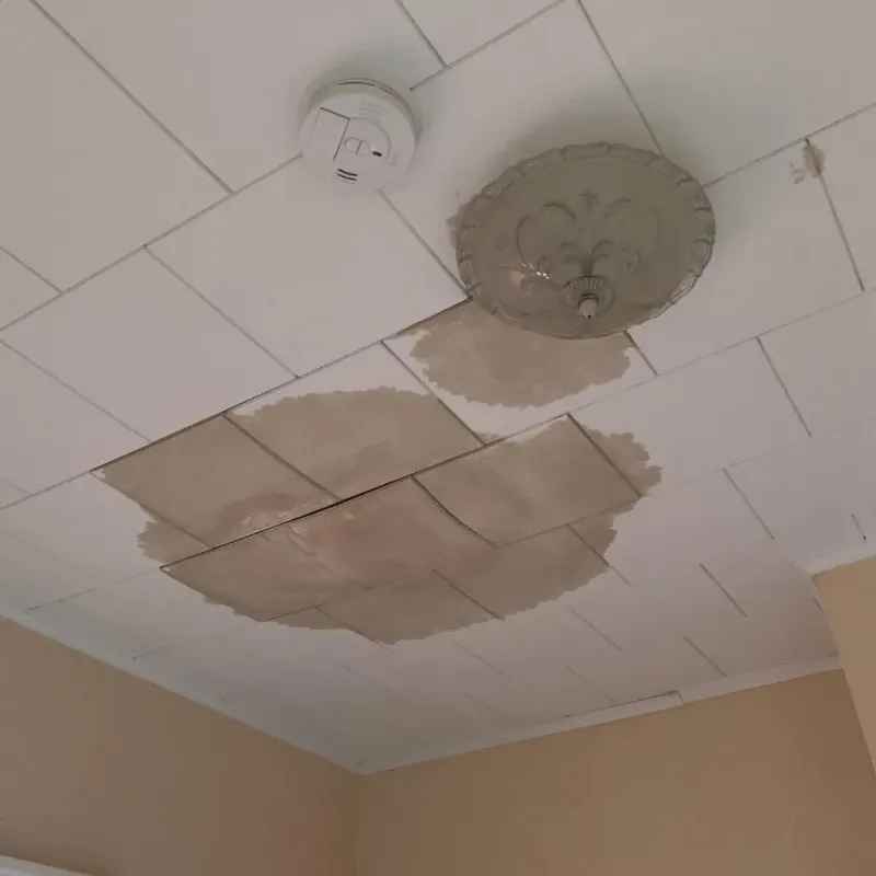Ceiling Water Damage Repair in Oak Ridge, FL