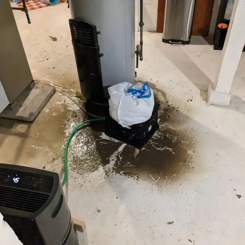 Sewage Backup Cleanup Service in Oak Ridge, FL